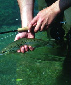 Syndicate Day Fishing
